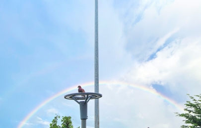 Sau cơn mưa sẽ thấy cầu vồng